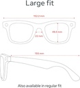 Ray-Ban Meta Wayfarer