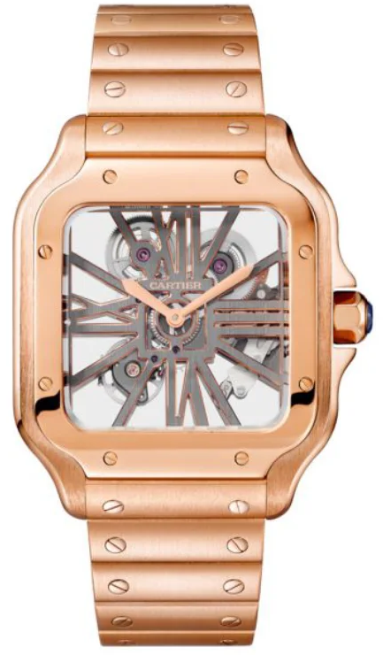 Cartier Santos Skeleton -9