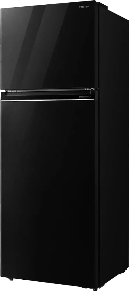 ثلاجة توشيبا نوفروست، 450 لتر، 2 باب، انفرتر، باب زجاجي، لون أسود ، موديل GR-RT624WE-PGN (22)
