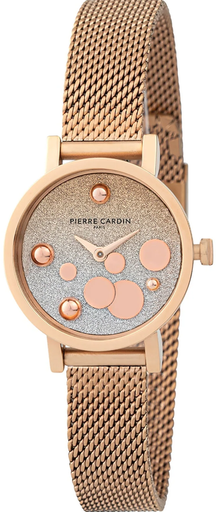 [CCM.0509] CCM.0509 PIERRE CARDIN Women's Watch