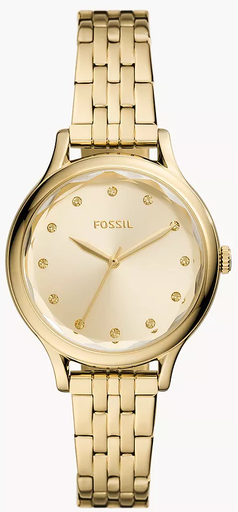 [BQ3863] BQ3863 fossil watch