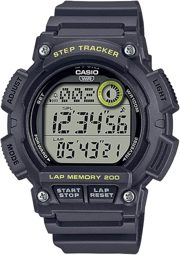 [WS-2100H-8AVDF] WS-2100H-8AVDF