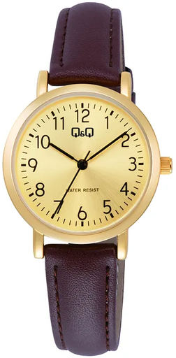 [C35A-012PY] C35A-012PY