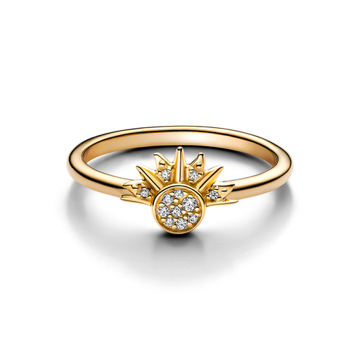 [162674C01-58] 162674C01-58